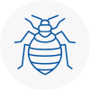 Bed Bug Extermination In Longridge